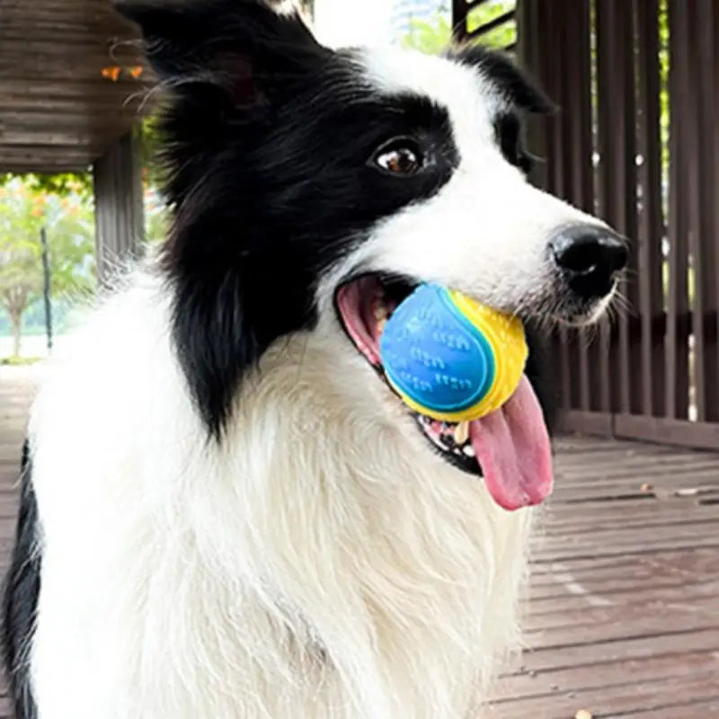 Balle Lumineuse Indestructible pour Chien - Jouet Résistant